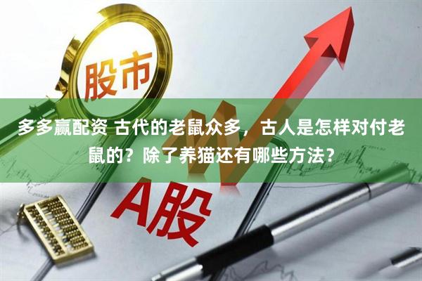 多多赢配资 古代的老鼠众多，古人是怎样对付老鼠的？除了养猫还有哪些方法？