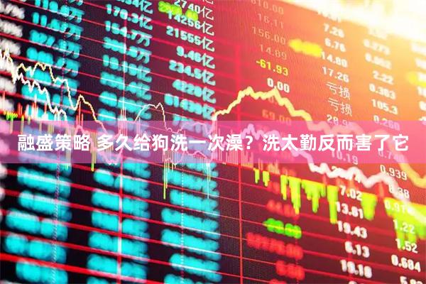 融盛策略 多久给狗洗一次澡？洗太勤反而害了它